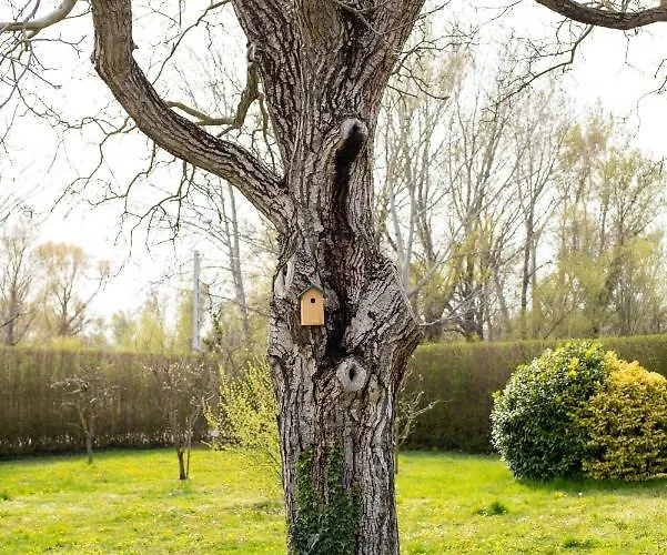 1880 Gyenesdias-balaton * גיינסדיאס